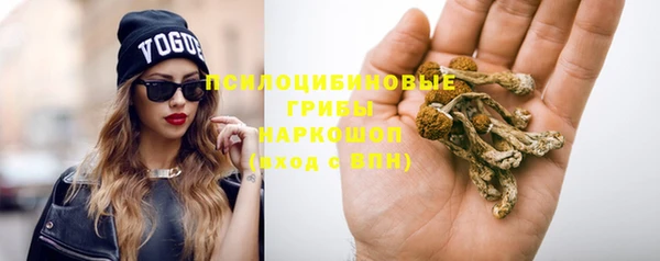 марихуана Коряжма